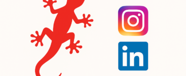 Tri‑Geckos auf Instagram und LinkedIn – näher, bunter und lebendiger als je zuvor!